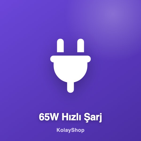 65W Hızlı Şarj Adaptörü
